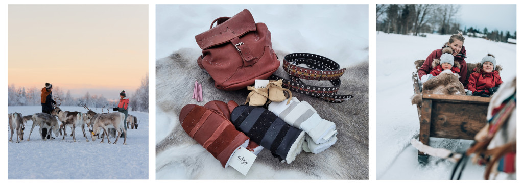 Reindeer farm, reindeer crafts, adventures