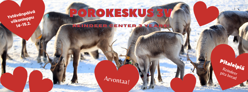 Ystävänpäiväviikonloppu porotilalla
