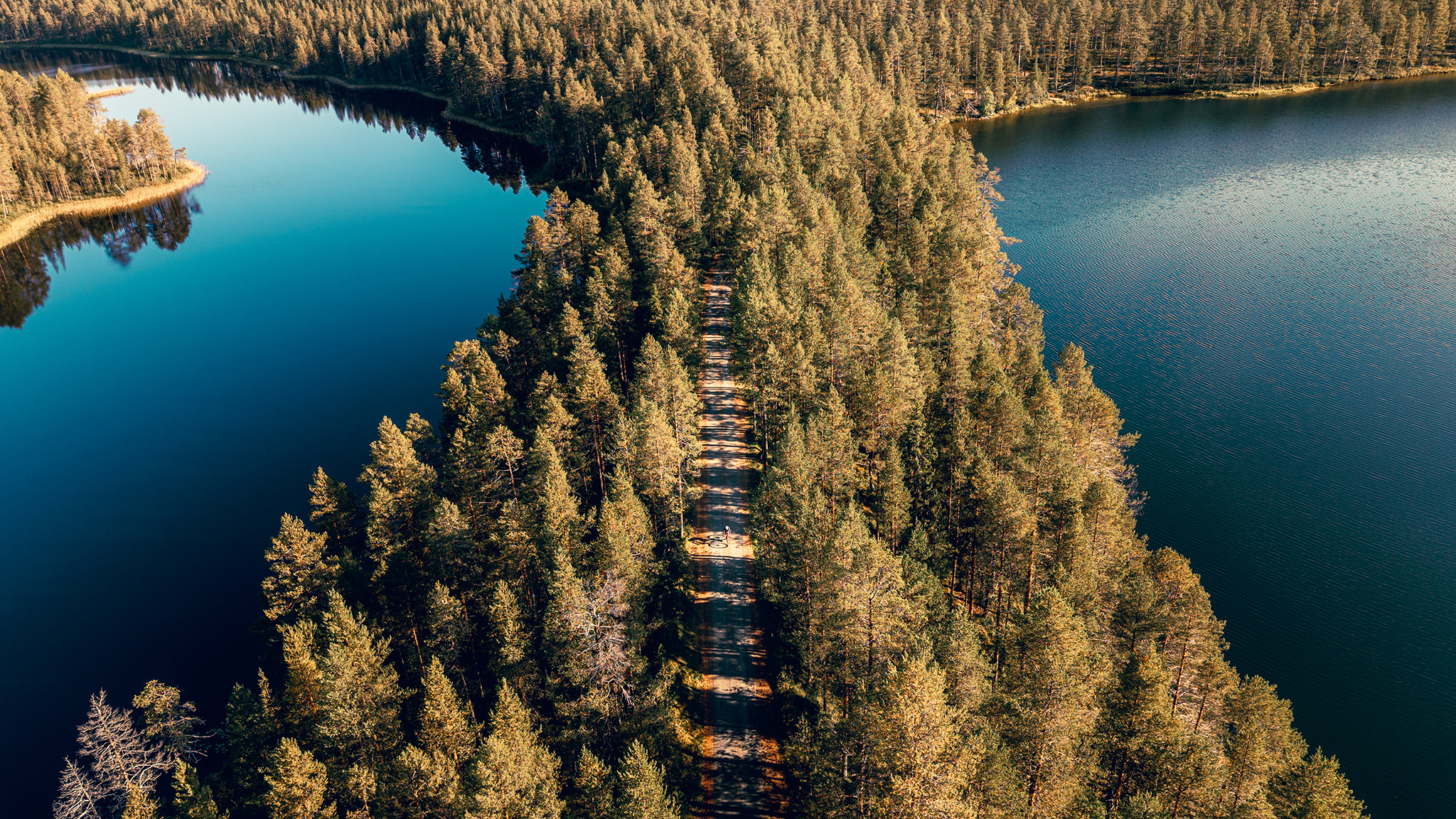 Gravelpyöräilyä Kuusamon harjumaisemissa. Kuva Toni Spasenoski