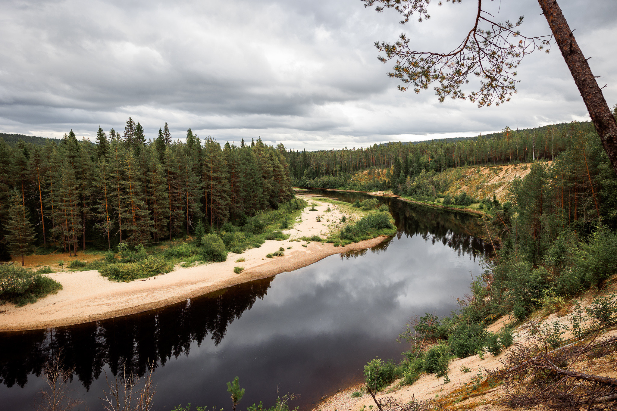 Oulankajoki Oulangan kansallispuistossa kesällä. Kuva Mikko Santasalo
