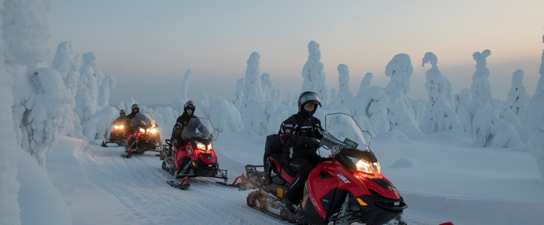 Kuusamo Safaris