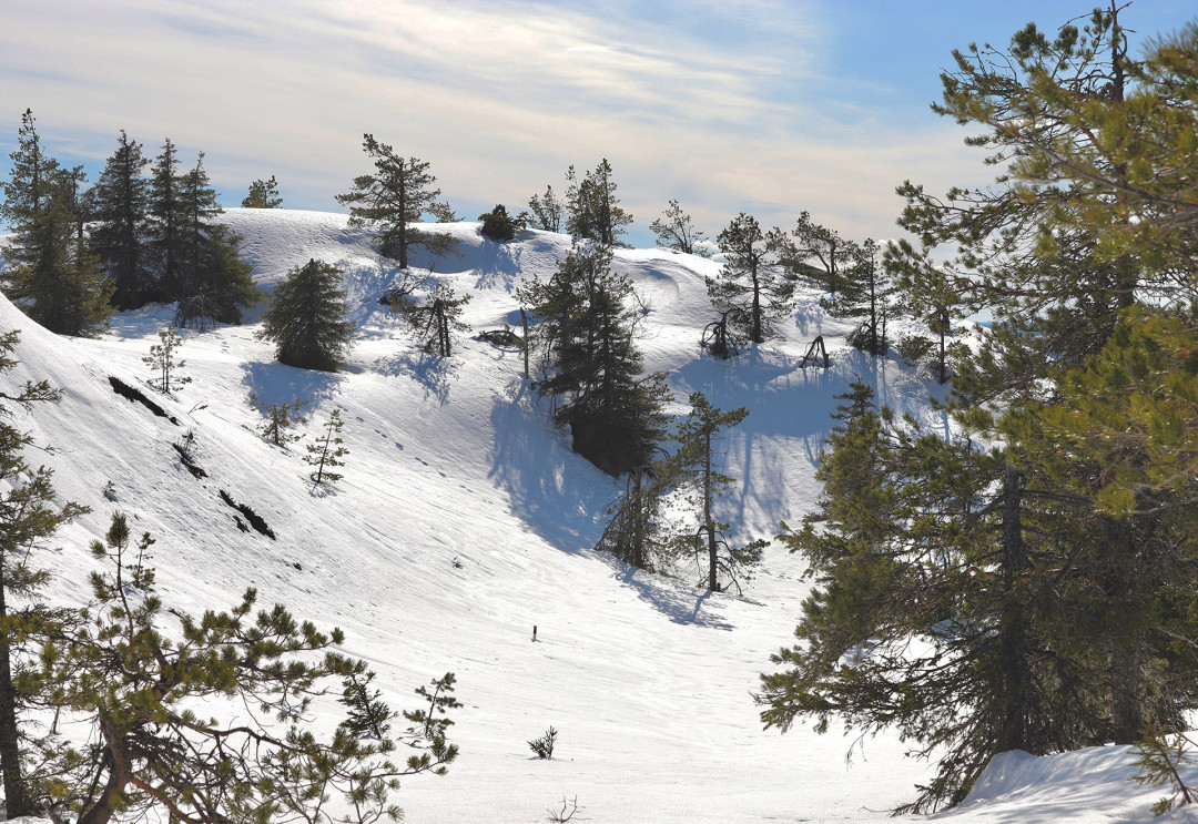 Juhannuskallio kevätlumilla