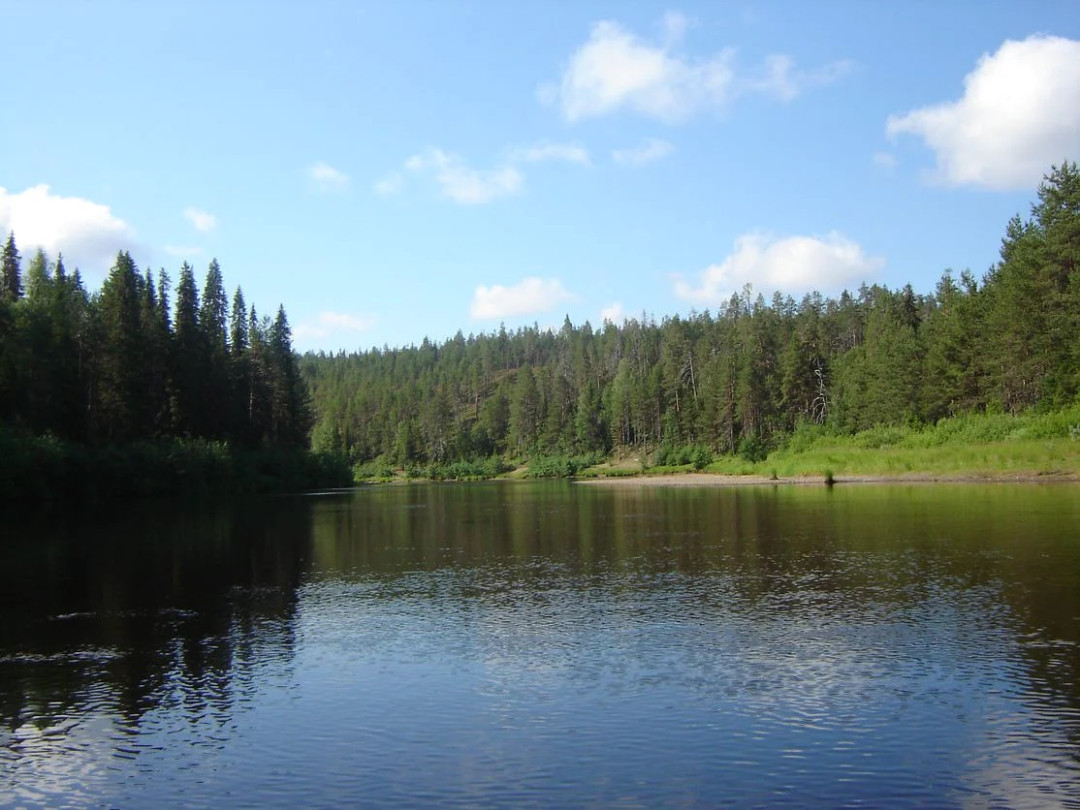 Kuusamo Safaris vie melontaretkelle Oulankajoelle
