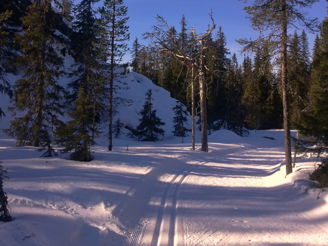 Ruka-Kuusamon kevätladut kutsuvat hiihtämään, kuva Pasi Kuusela