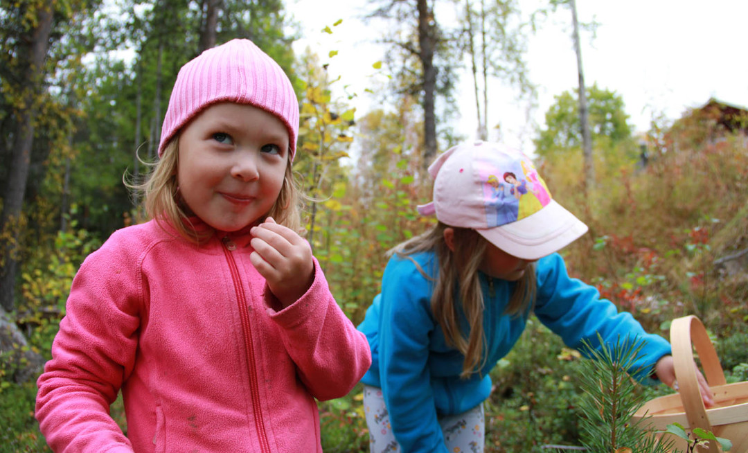 Lapset poimivat marjoja metsässä