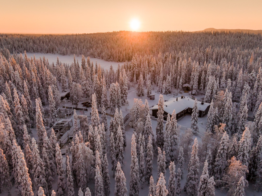 Talvimaisema Lammintuvalla