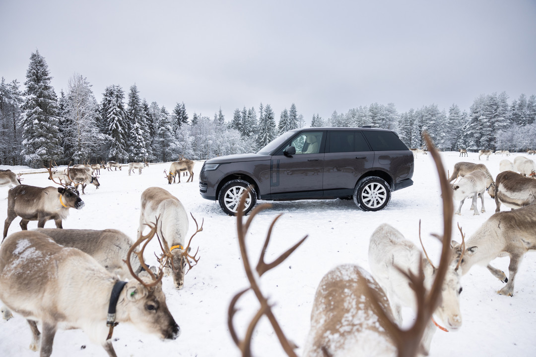 Land Rover Discovery Sport Ruka-Kuusamon maisemissa