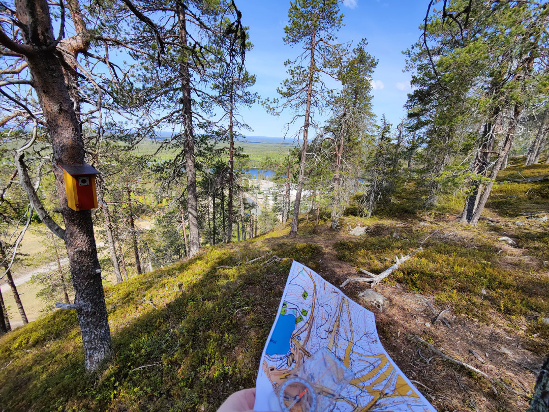 Suunnistusta Rukan maisemissa, kuva Viivi Sirkeinen