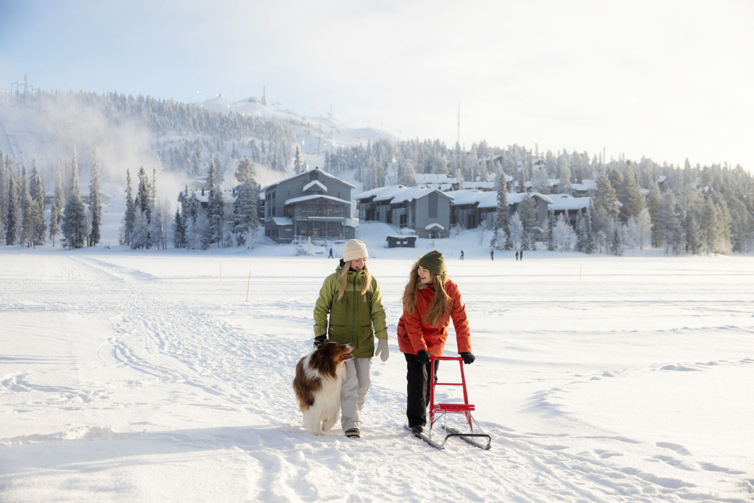 Potkukelkkailua koiran kanssa Talvijärvellä Rukalla