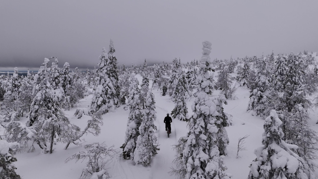 Riisitunturi pyöräillen