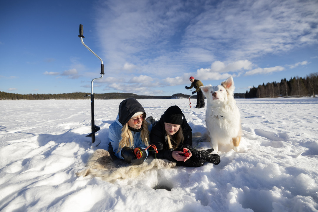 Pilkillä koiran kanssa. Kuva Harri Tarvainen/Kotakollective
