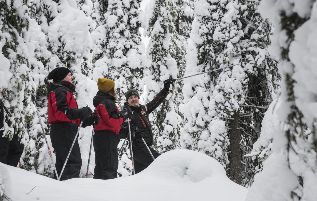 Lumikenkäilyä Kuusamossa. Kuva Ruka Safaris