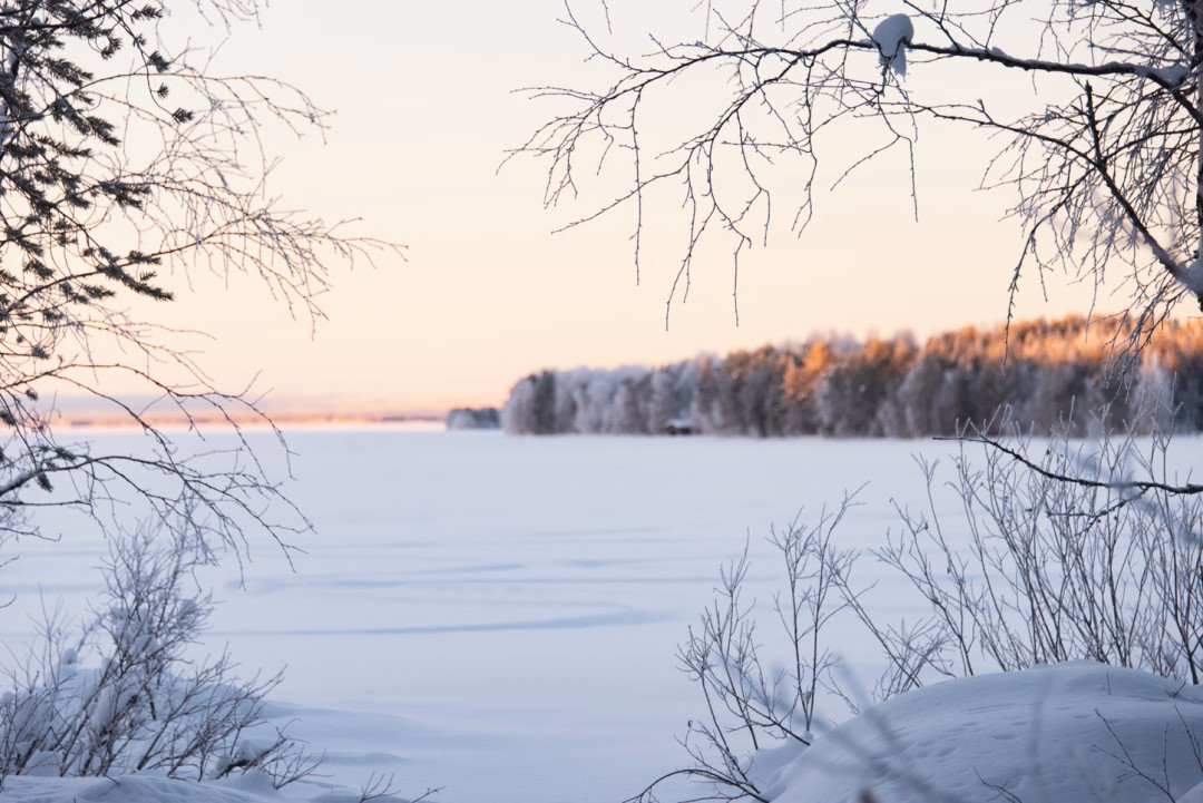 Talvimaisema Kitkajärvellä Ruka-Kuusamossa. Kuva Wild Out.