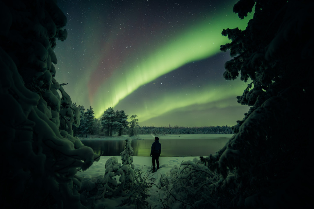 Revontulien väriloistoa Ruka-Kuusamossa. Kuva Mikko Santasalo