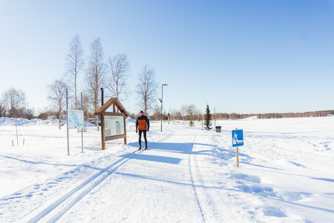 Maastohiihtäjä Kuusamon keskustassa Historiapolun tuntumassa. Kuva Naturpolis / Maan pinnalla