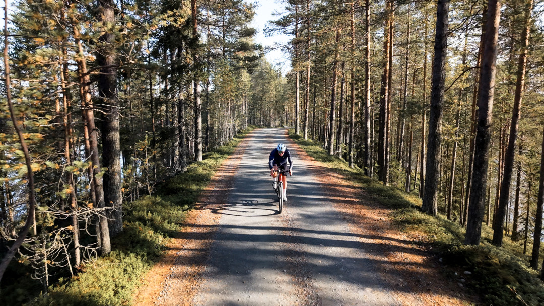 Gravel-pyöräilyä Kuusamon harjumetsissä. Kuva Toni Spasenoski