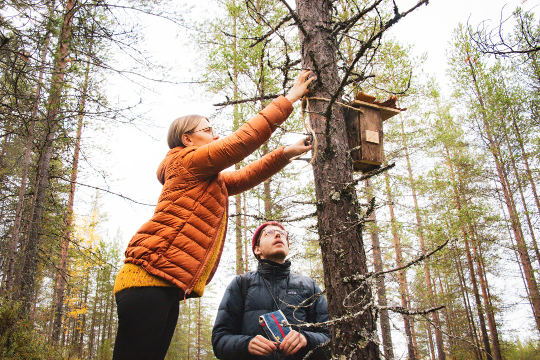 Locating a self-made birdhouse. Photo by Wild Out