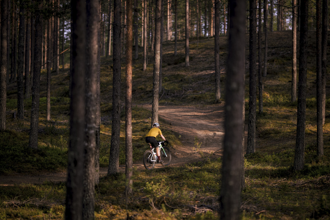 rukakuusamo_lapland_finland_gravel_PhilipGale (24).jpg