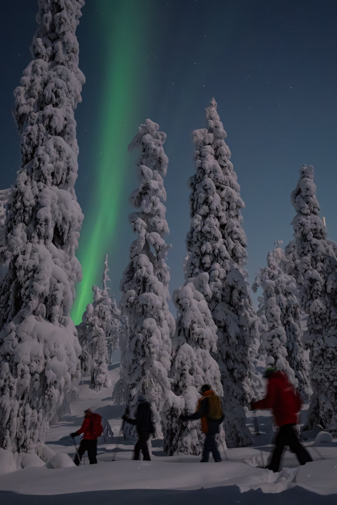 Northern Lights snowshoe hike Ruka