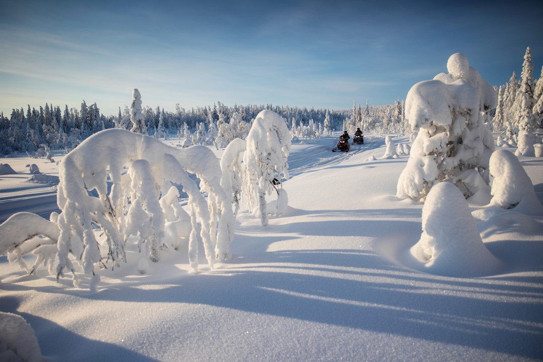 Arctic snowmobile safari Ruka-Kuusamo