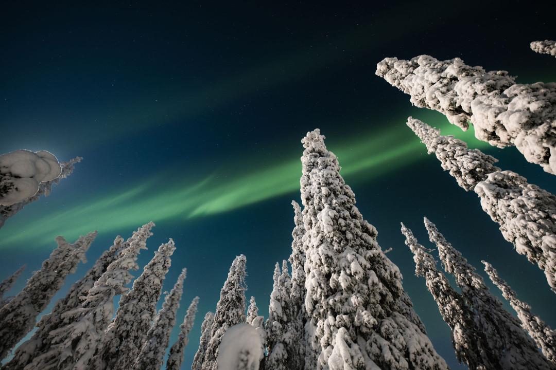 Northern lights electric snowmobile safari Ruka Kuusamo