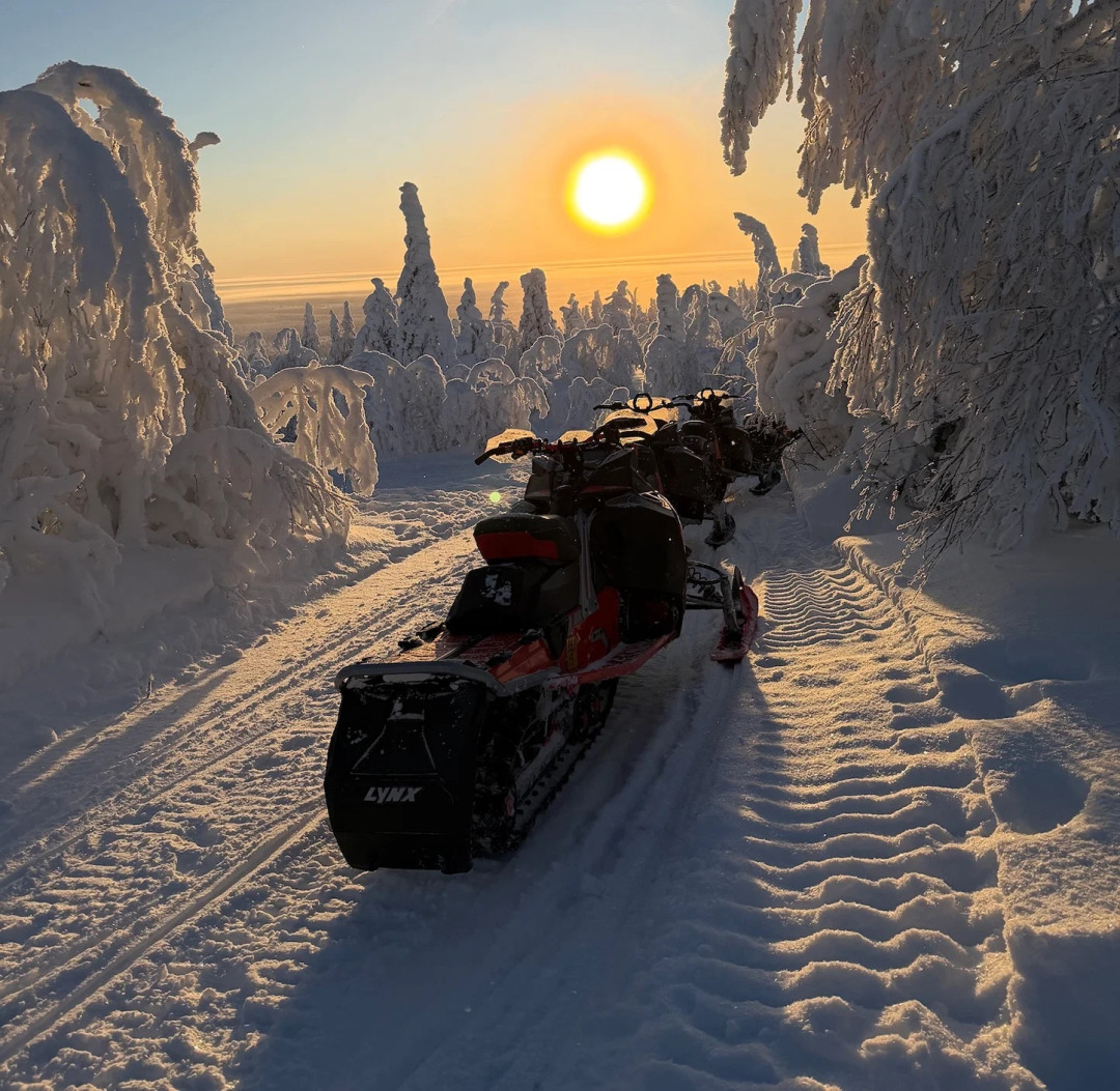Moottorikelkka auringonlaskussa tykkypuiden keskellä. Kuva Stella Polaris Adventures