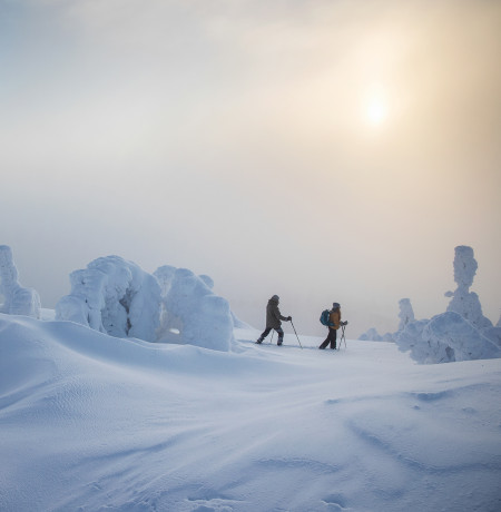 Lumikenkäilijät tykkylumipuiden keskellä, Ruka-Kuusamo