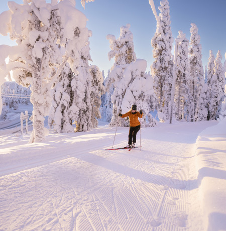 Maastohiihtoa Kuusamossa