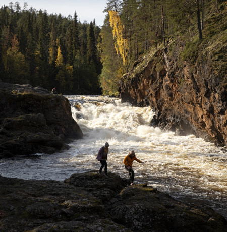 Hikers near Kiutaköngäs rapids during autumn. Photo: Harri Tarvainen