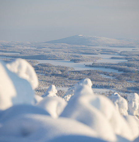 Talvimaisema Kuusamossa