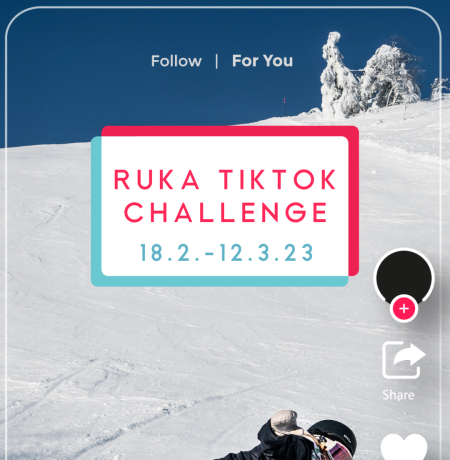 tiktok challenge