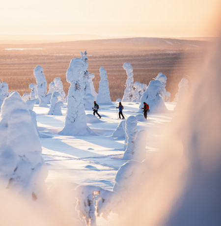 Lumikenkäilijät Riisitunturilla, kuvaaja: Harri Tarvainen