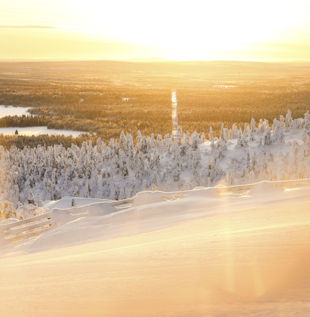 Tammikuun aurinko Rukan rinteillä, Veera Vihervaara