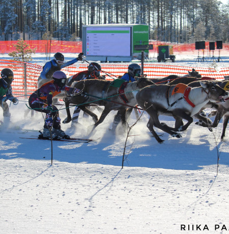 Poroajot Kuusamo, poro cup Kuusamo