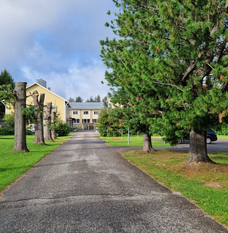 Kuusamo-opiston pihatie