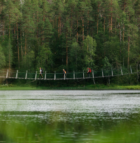Riippusilta Oulangan kansallispuistossa, kuva Jani Kärppä