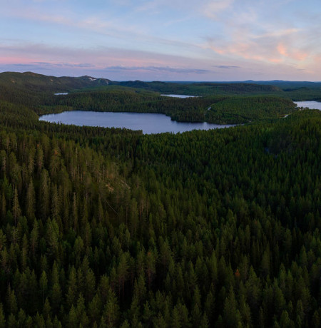 Konttainen ja Ruka kesäillassa, kuva Teemu Lahtinen