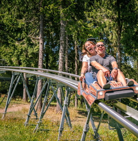 Alpine coaster 