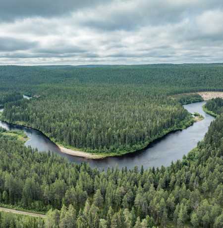 Alamäkiuinnin maisemia upealla Oulankajoella. Kuva Reino Hartikainen.