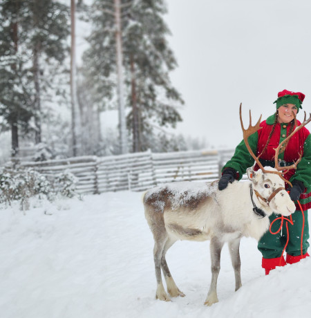 Porotilan joulukahvila