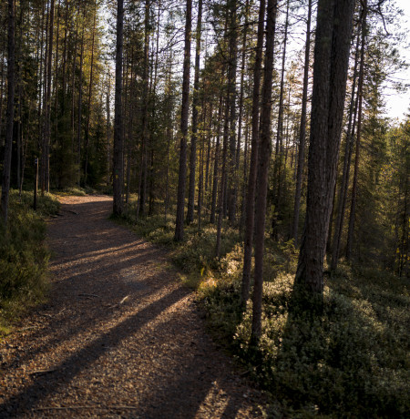 These paths are made for riding. Photo Phil Gale