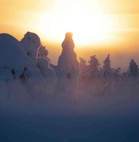 Ruka talvi