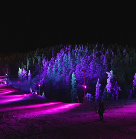 Polar night light festival