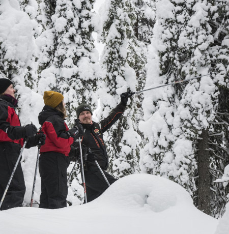 Lumikenkäilyä Kuusamossa. Kuva Ruka Safaris