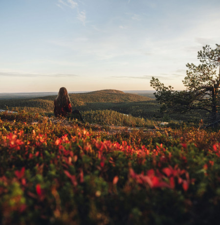 Maaruskaa Kuusamossa. Kuva Eeva Mäkinen