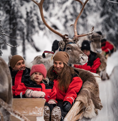 Poroajelulla Ruka-Kuusamossa. Kuva Lammintupa Winter Village, Ruka, Kuusamo, Lapland, Finland