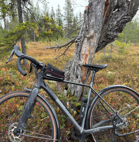 Uuttusuon Kahvila, pyörä ruskamaisemassa, kuva Karoliina Lehto