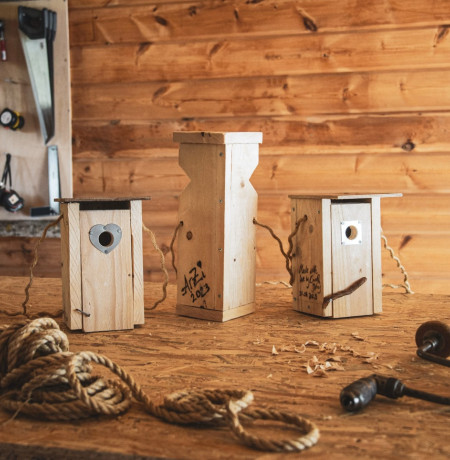 Linnunpönttötyöpaja, kuva Wild Out.