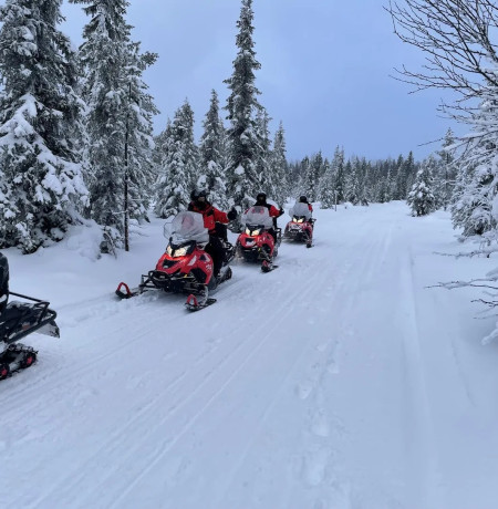 Moottorikelkkailua Ruka-Kuusamossa. Kuva Lammintupa. 