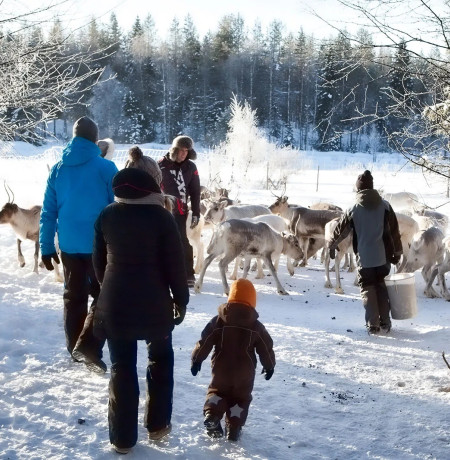 Porotilavierailulla Ruka-Kuusamossa. Kuva Kujalan Porotila.